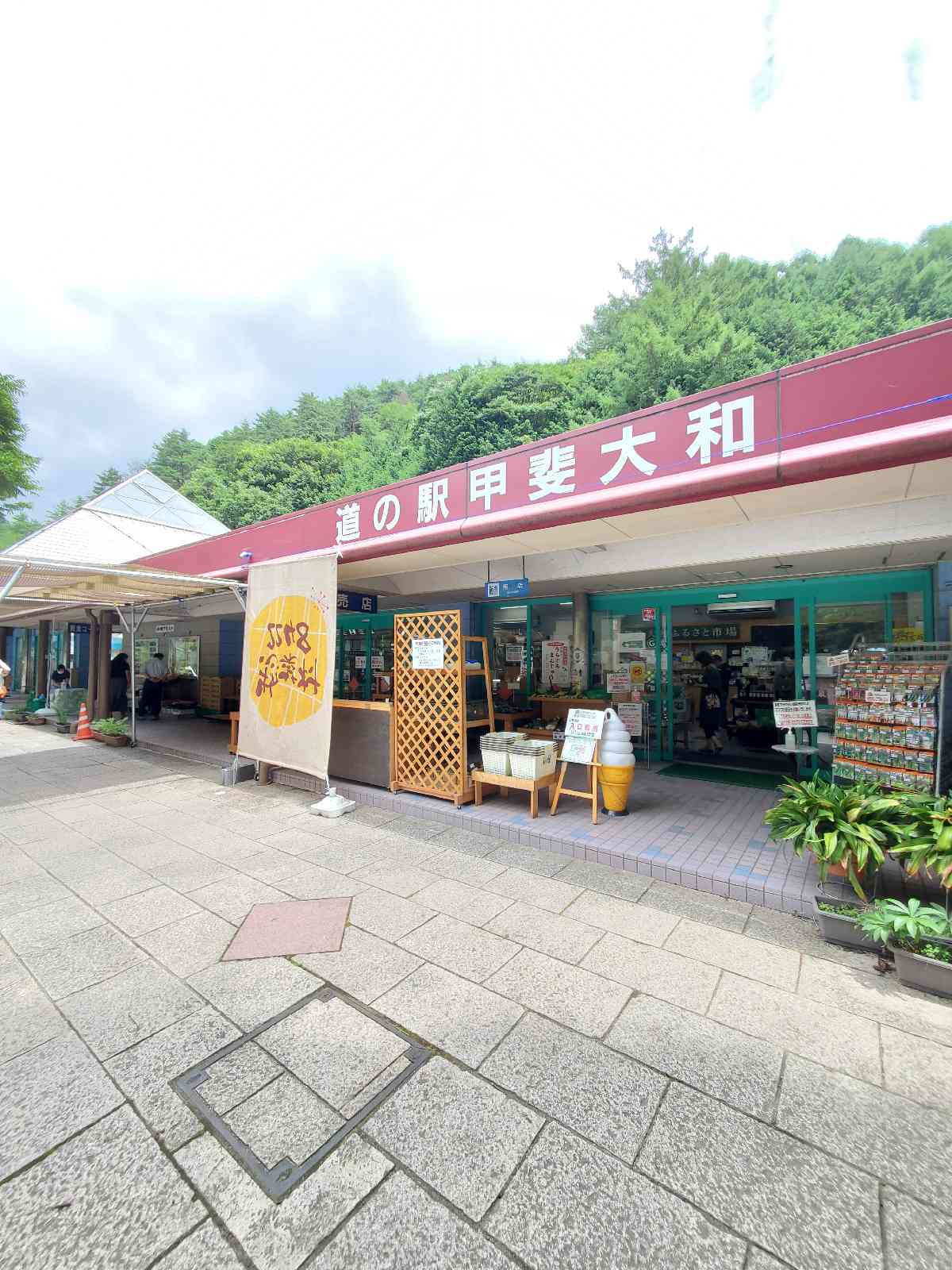投稿された画像