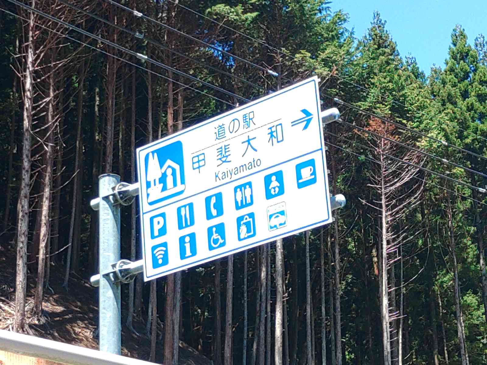 道の駅 甲斐大和の写真