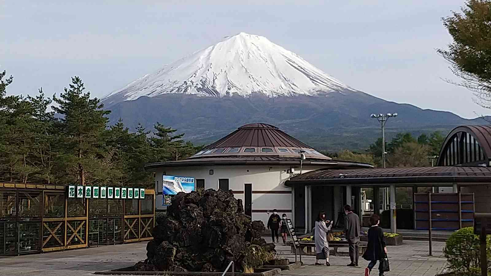 投稿された画像