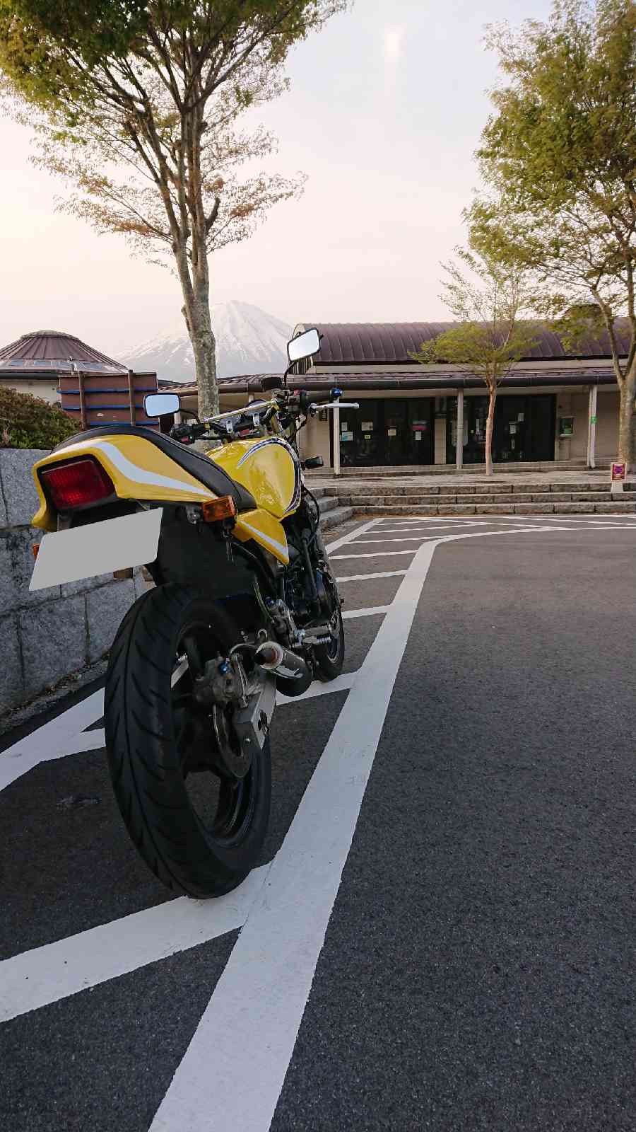 投稿された画像