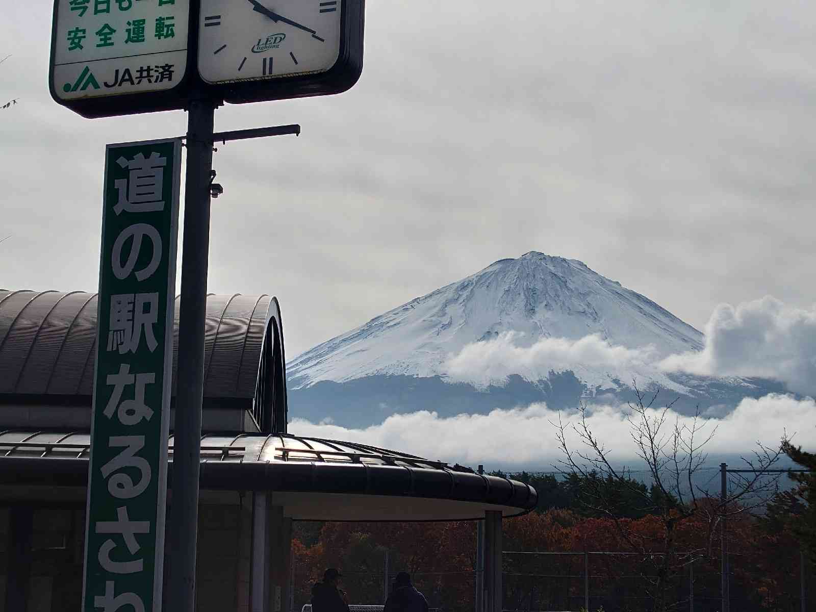 投稿された画像