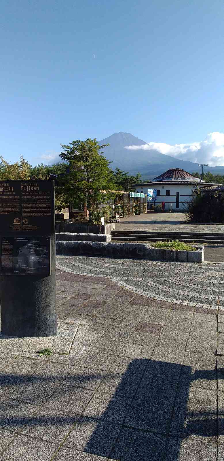 投稿された画像
