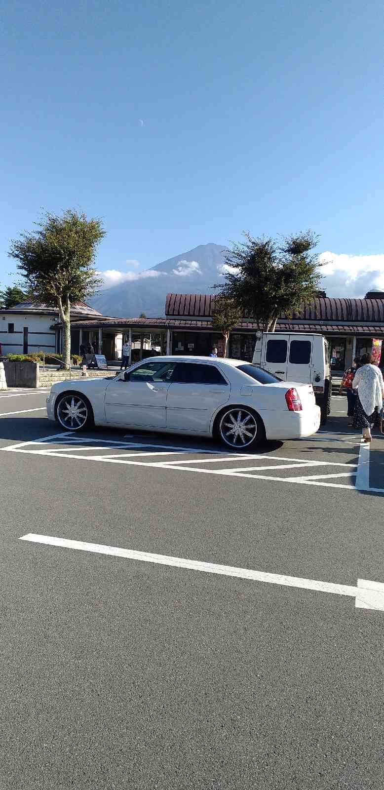 投稿された画像