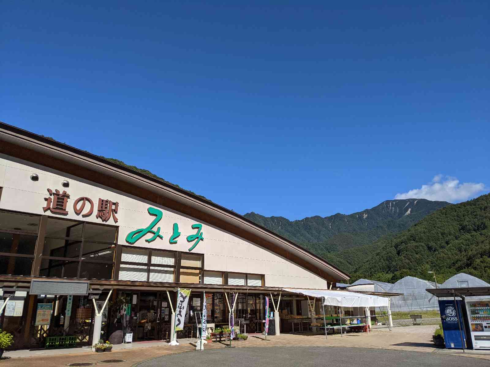 投稿された画像
