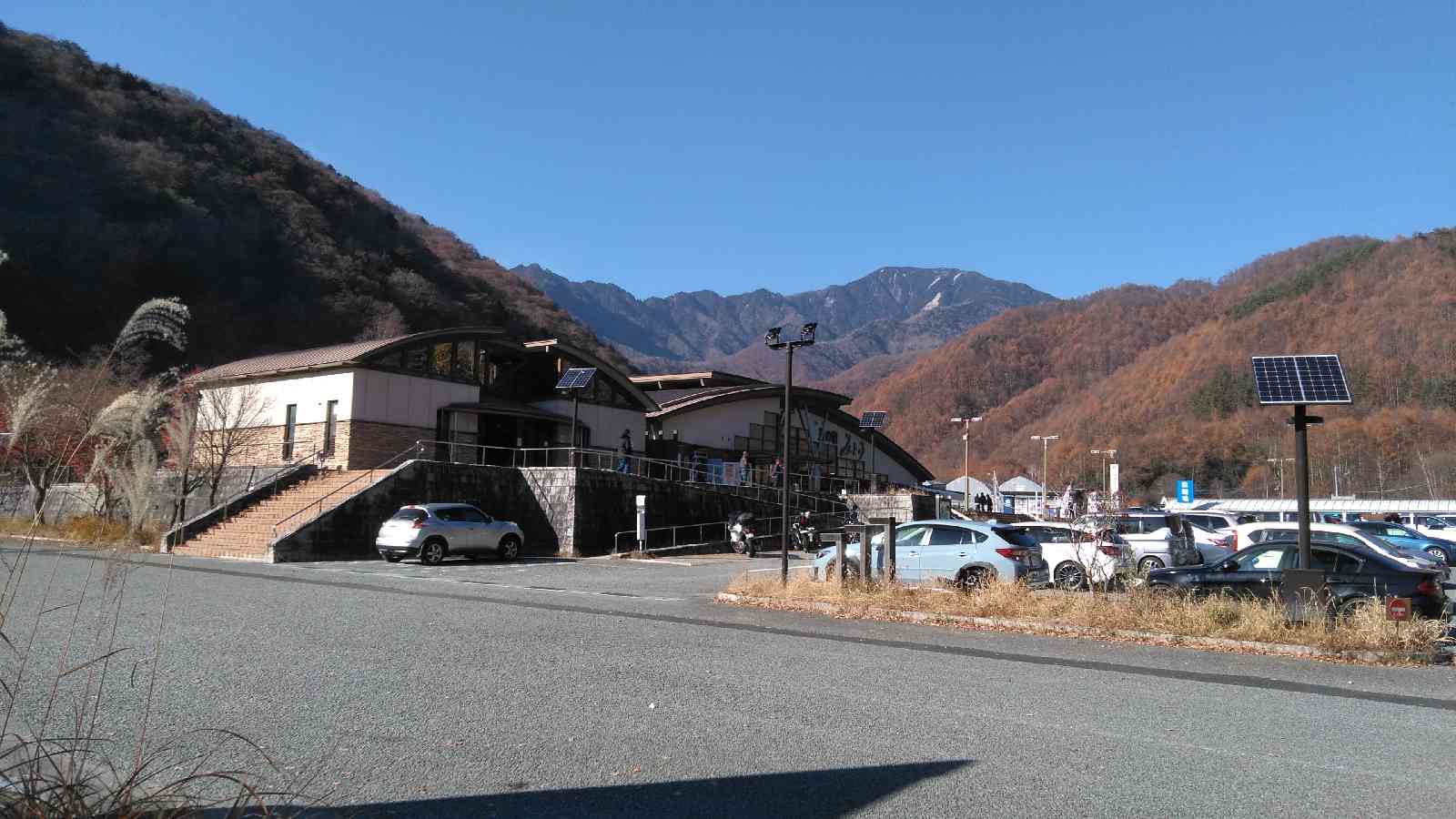 投稿された画像
