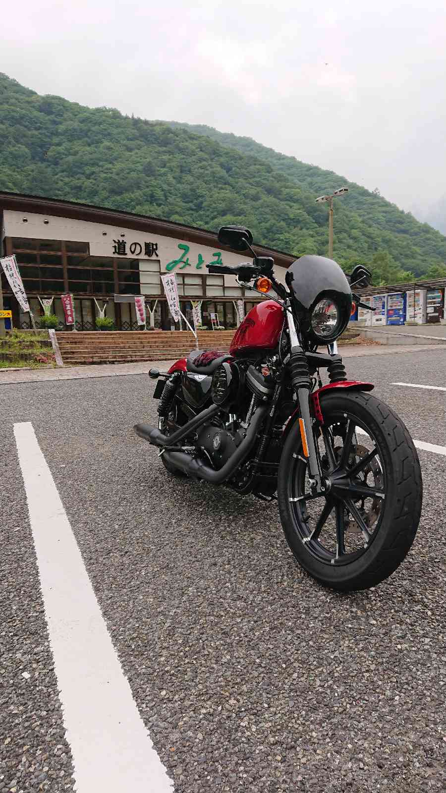投稿された画像