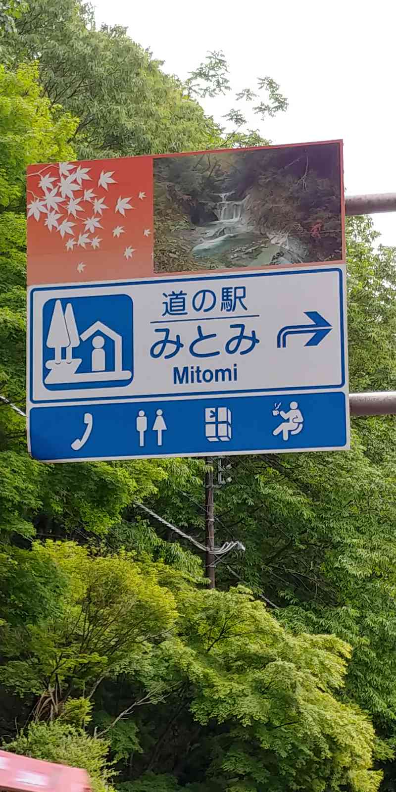 投稿された画像