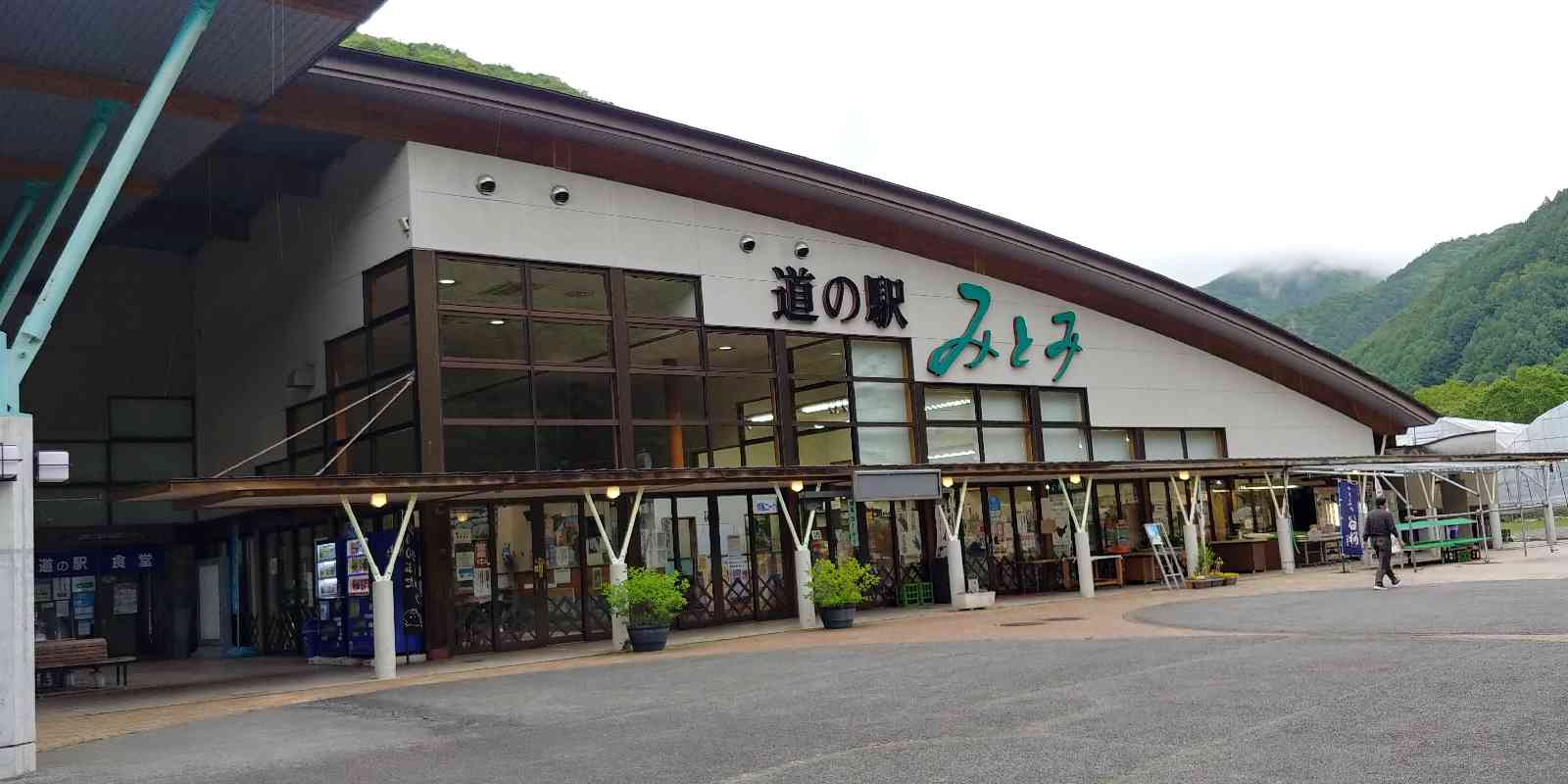 投稿された画像