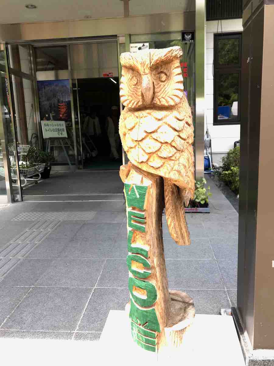 投稿された画像