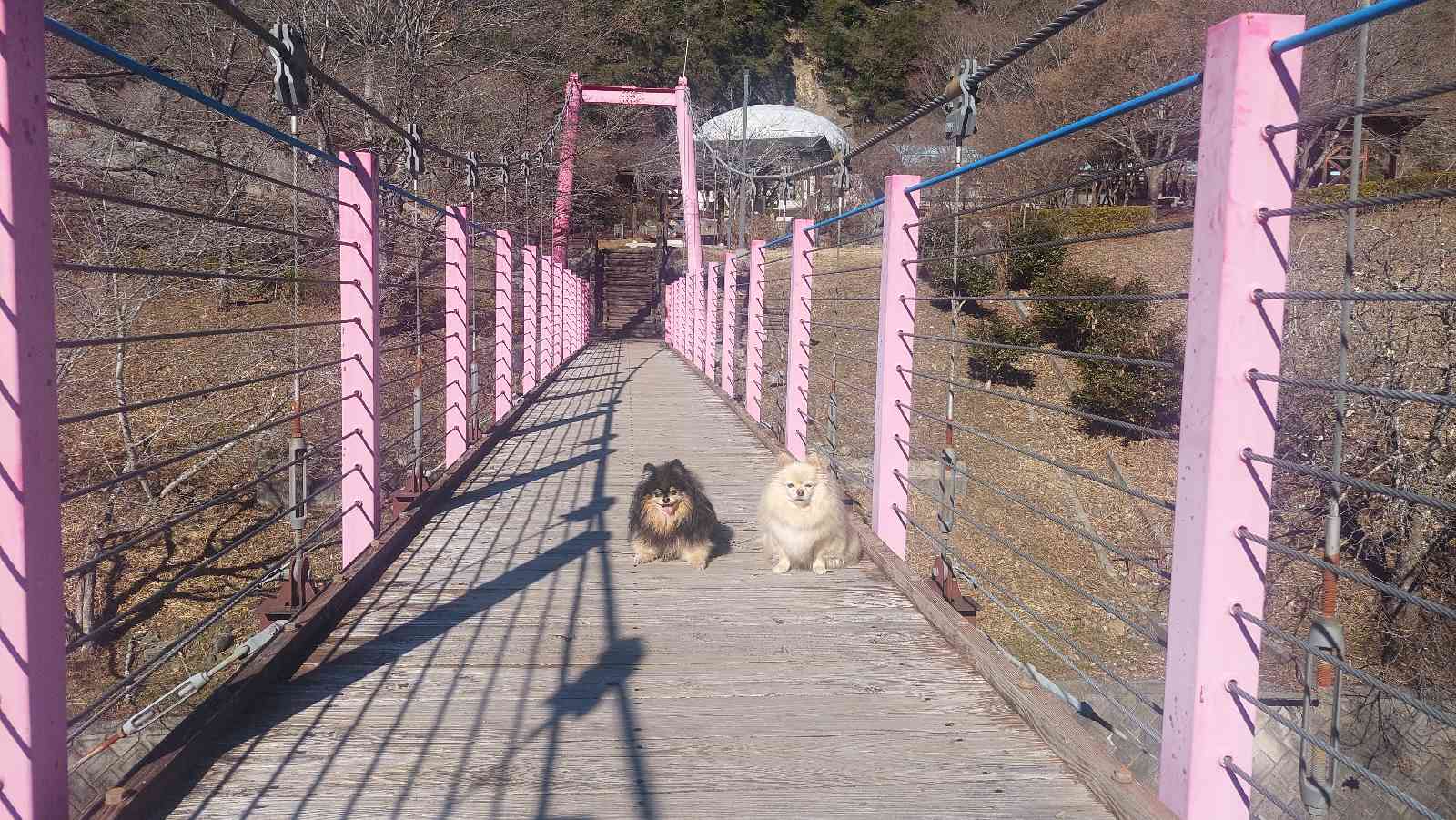 道の駅 しもべの写真