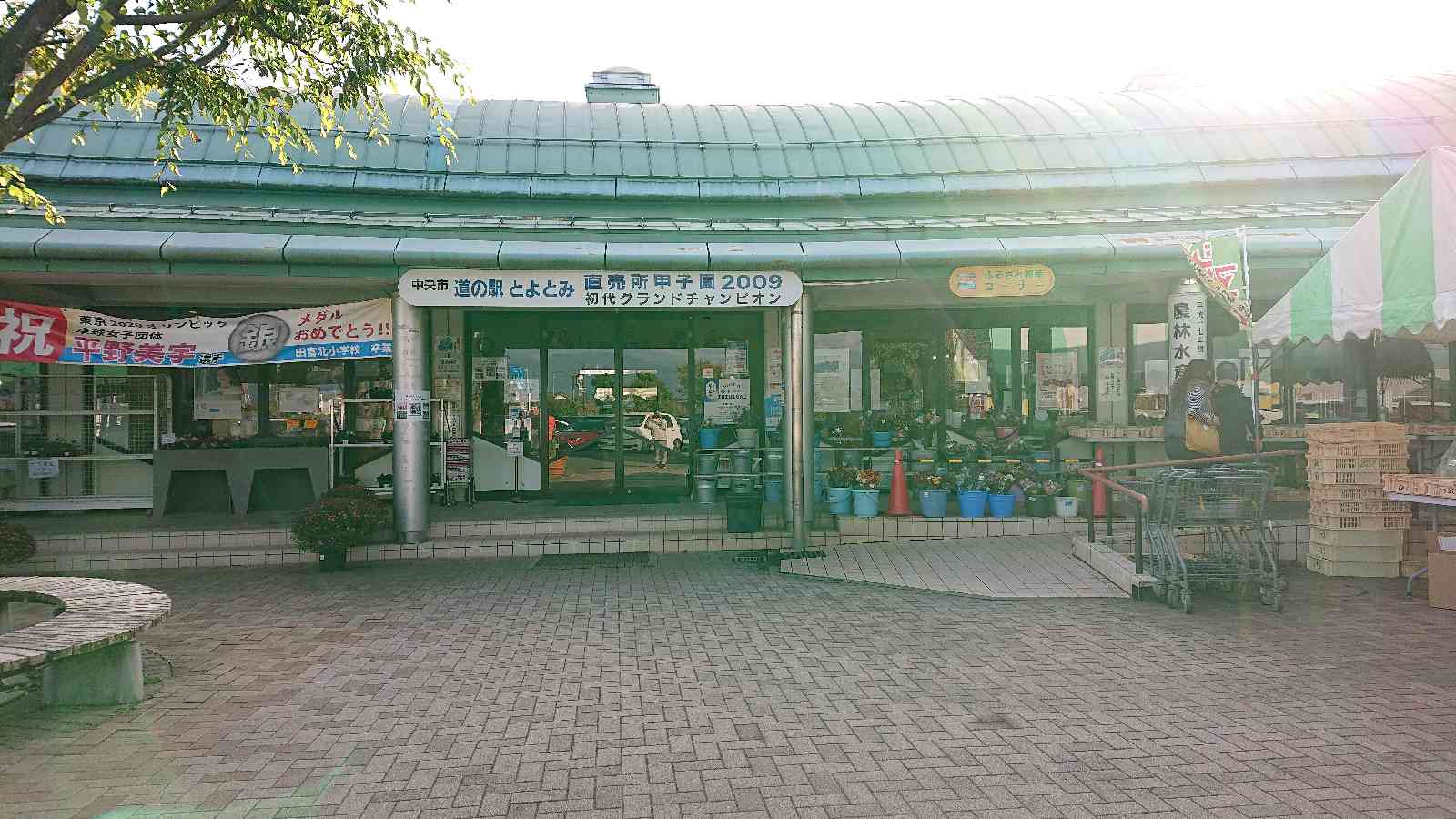 投稿された画像