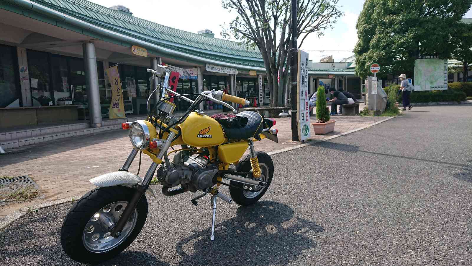 投稿された画像