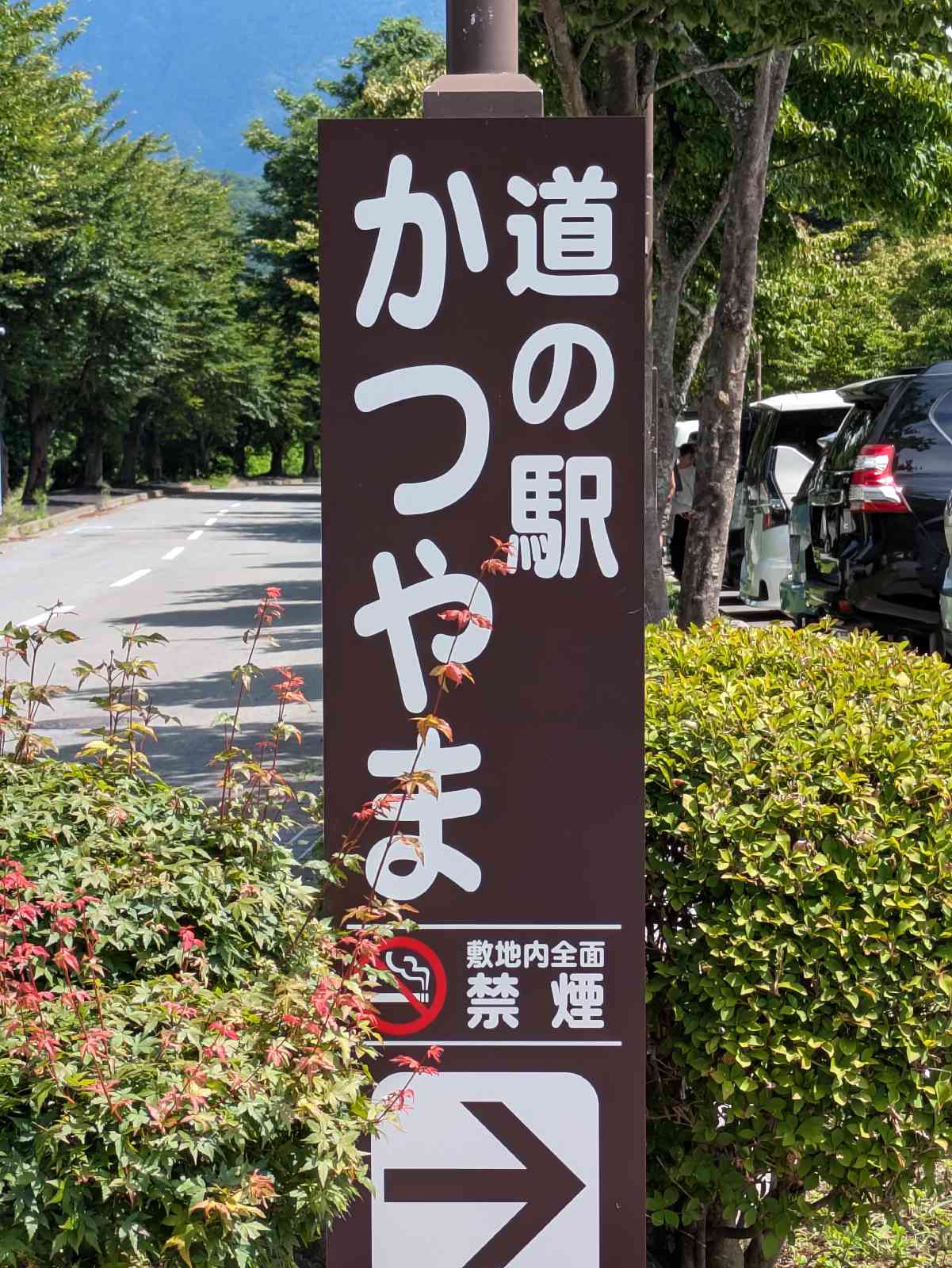 道の駅 かつやまの写真