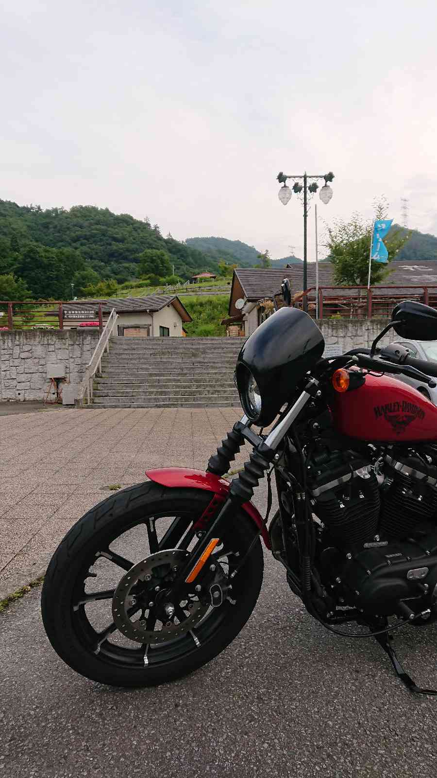 投稿された画像