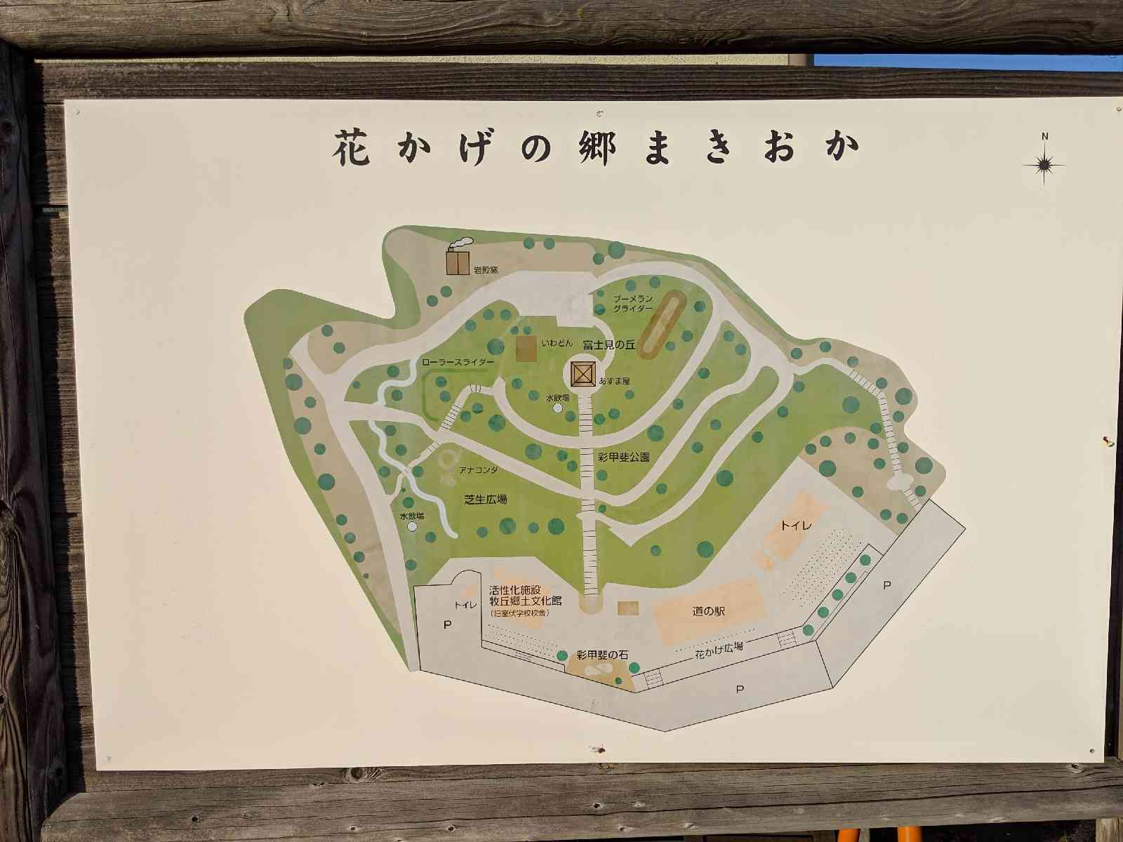 投稿された画像