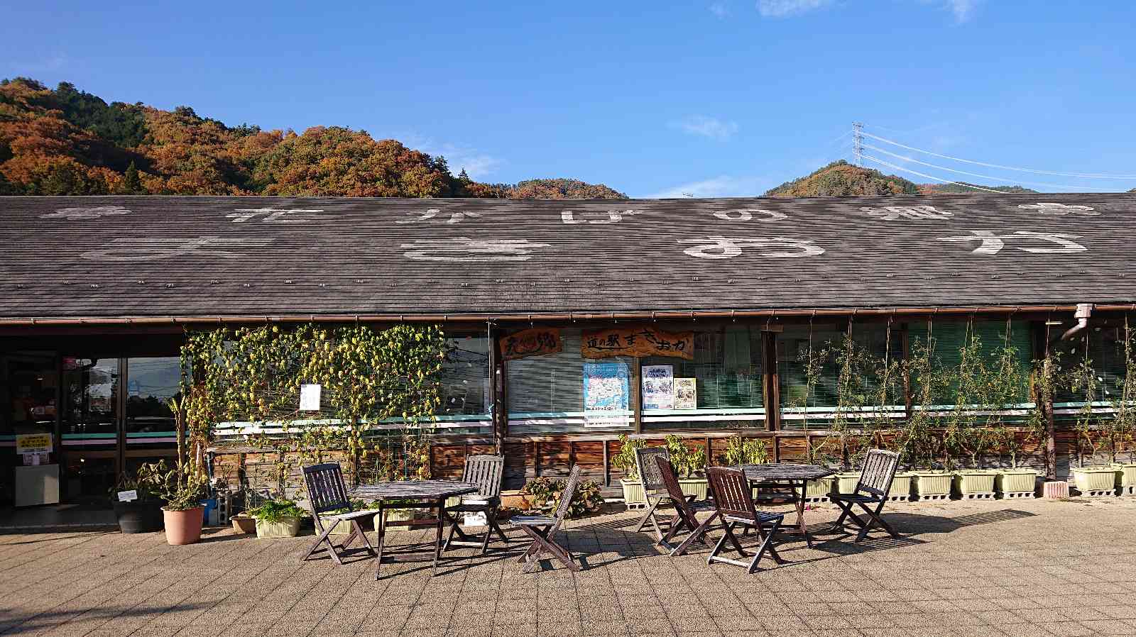 投稿された画像