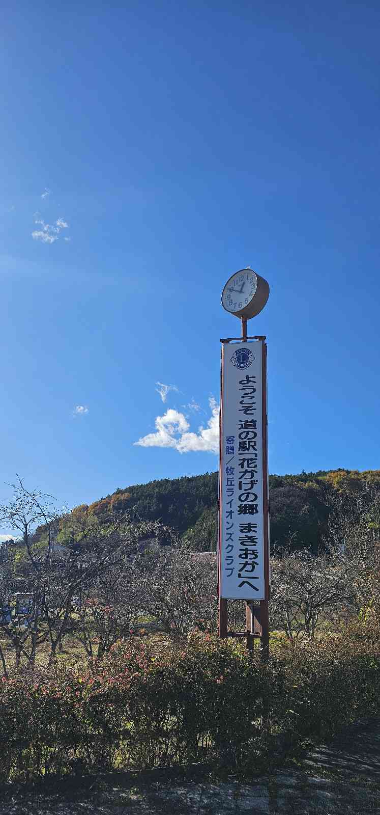 道の駅 花かげの郷まきおかの写真