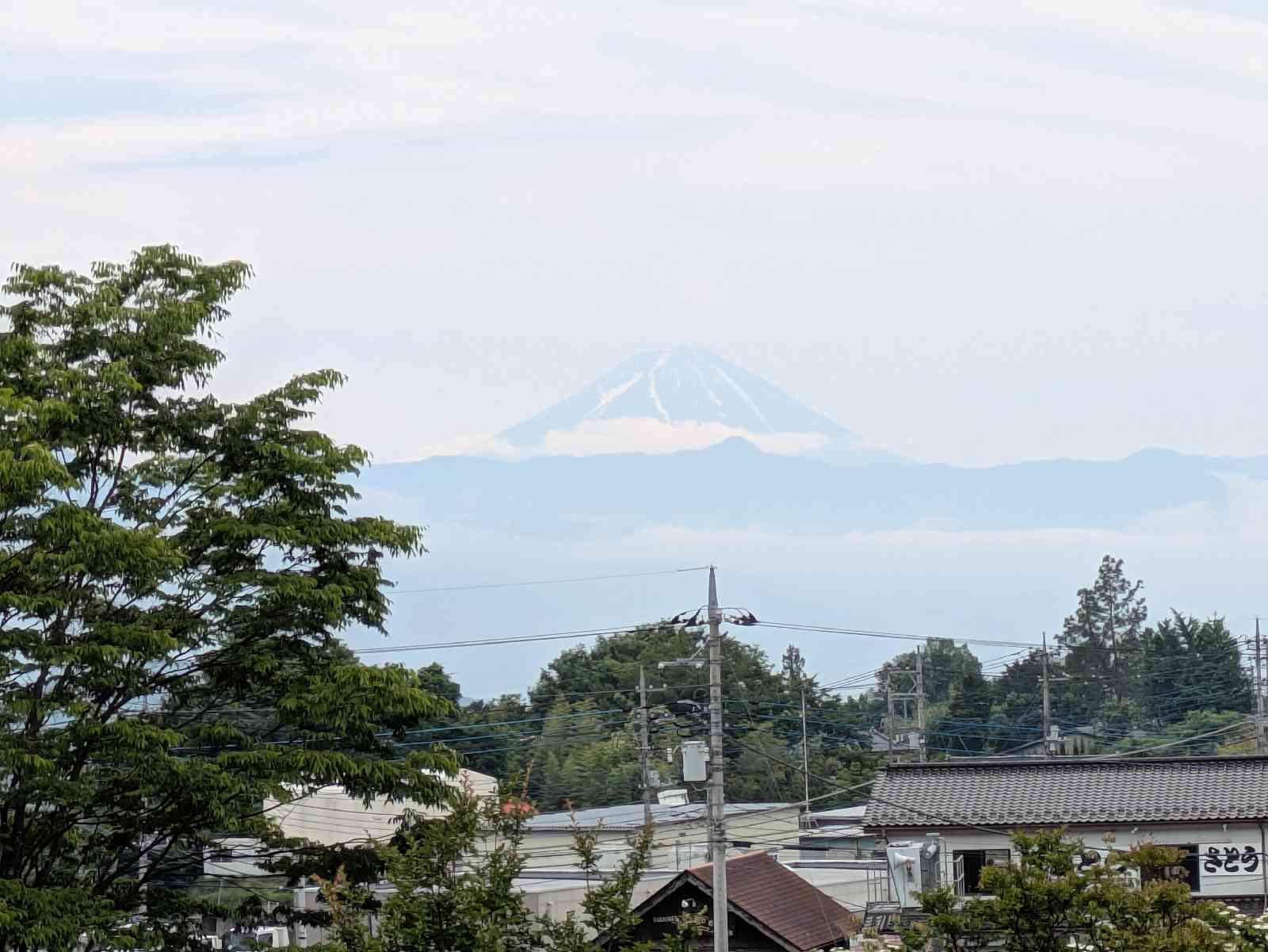 道の駅 花かげの郷まきおかの写真