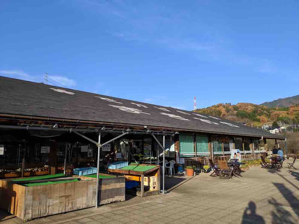 投稿された画像