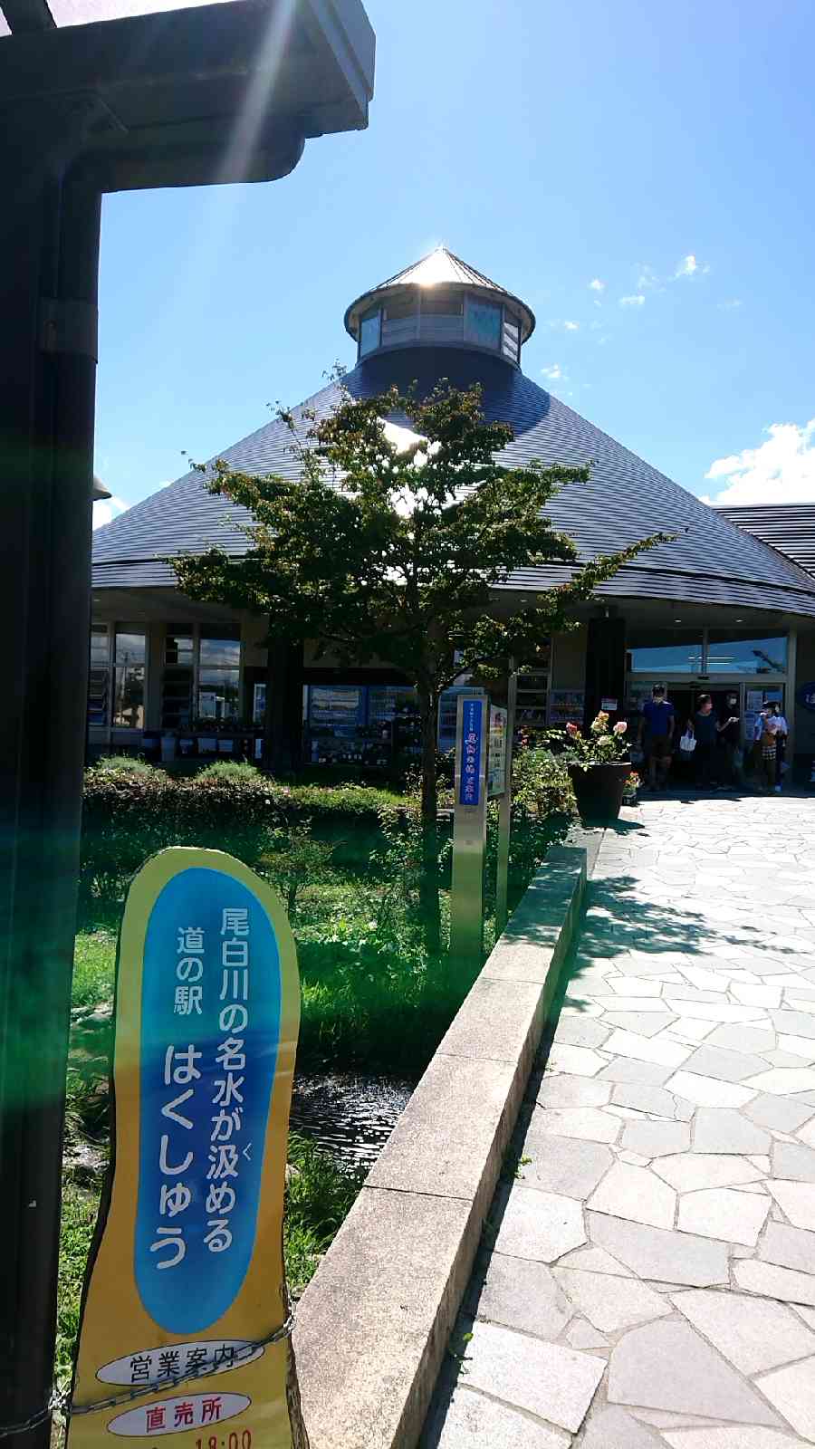 投稿された画像