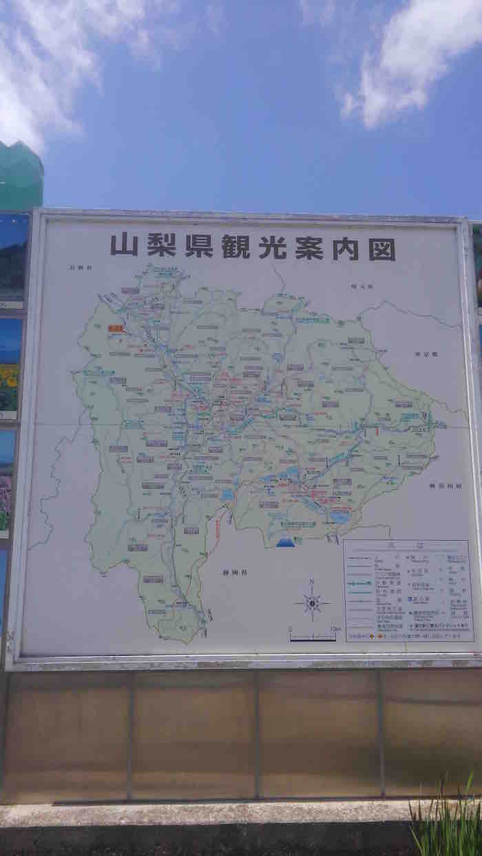 投稿された画像