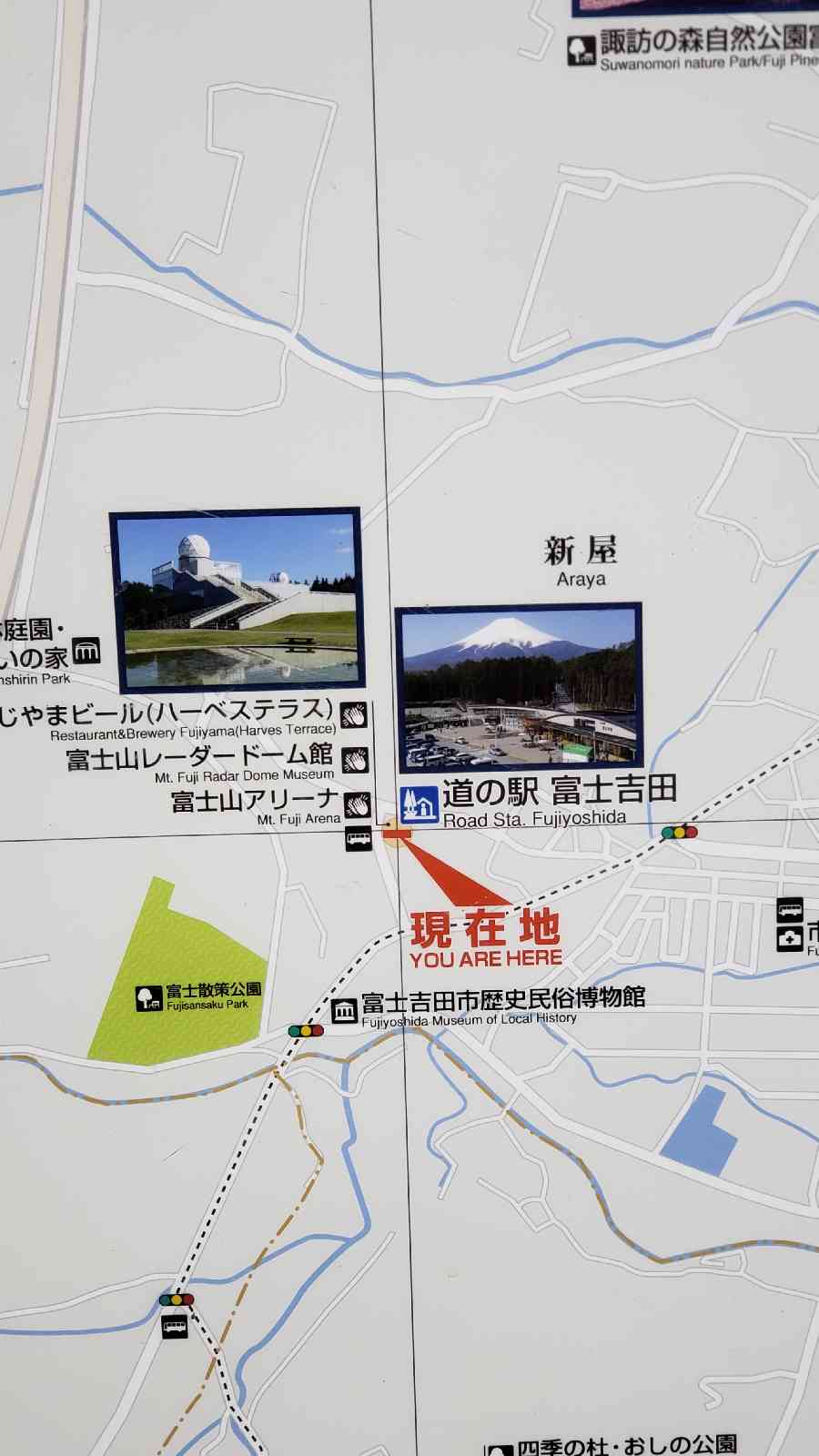 投稿された画像
