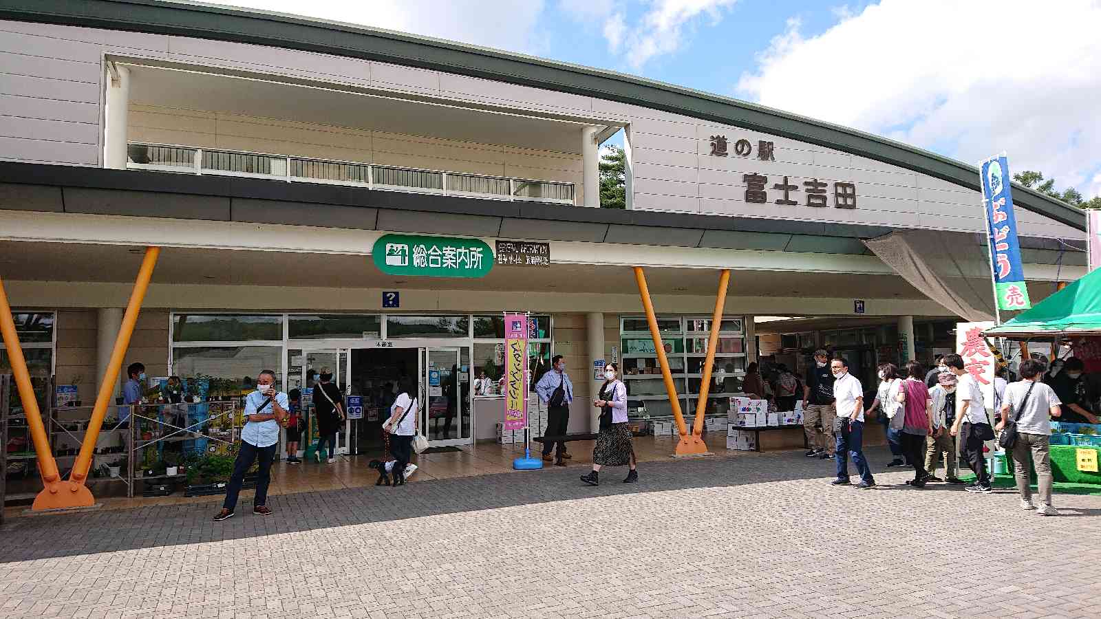 投稿された画像