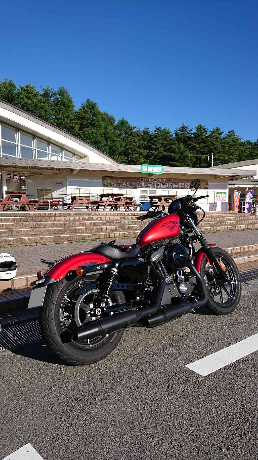 投稿された画像