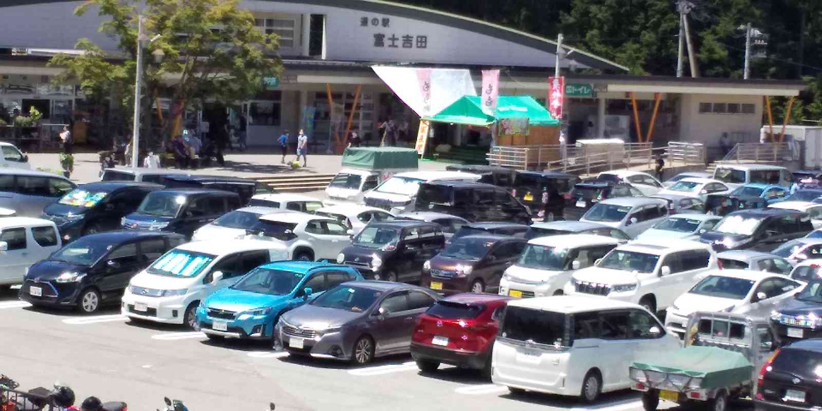 投稿された画像