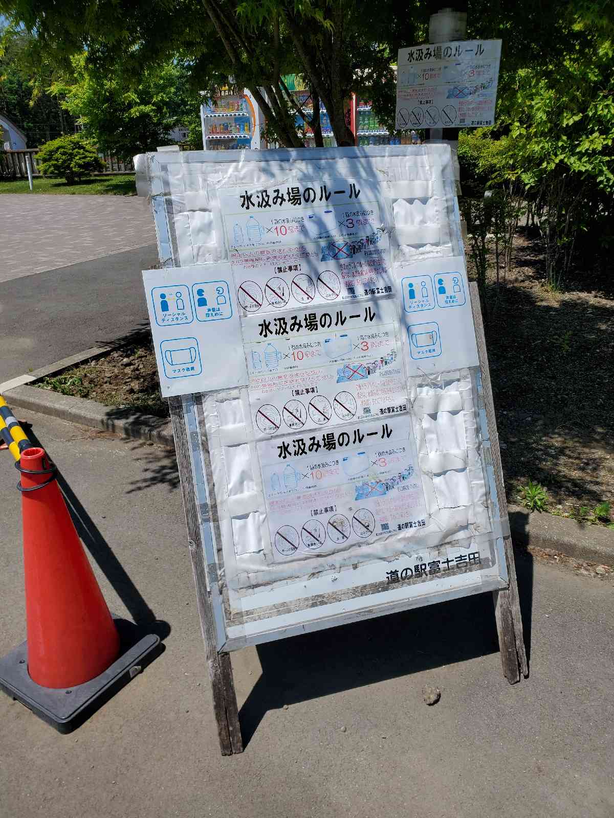 投稿された画像