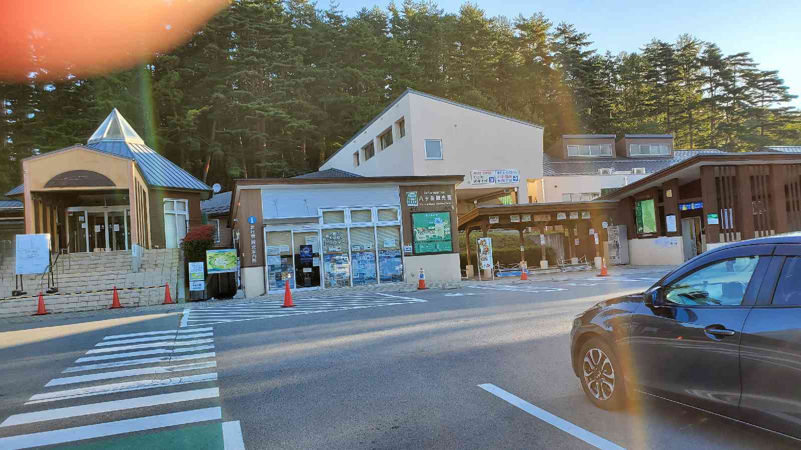投稿された画像
