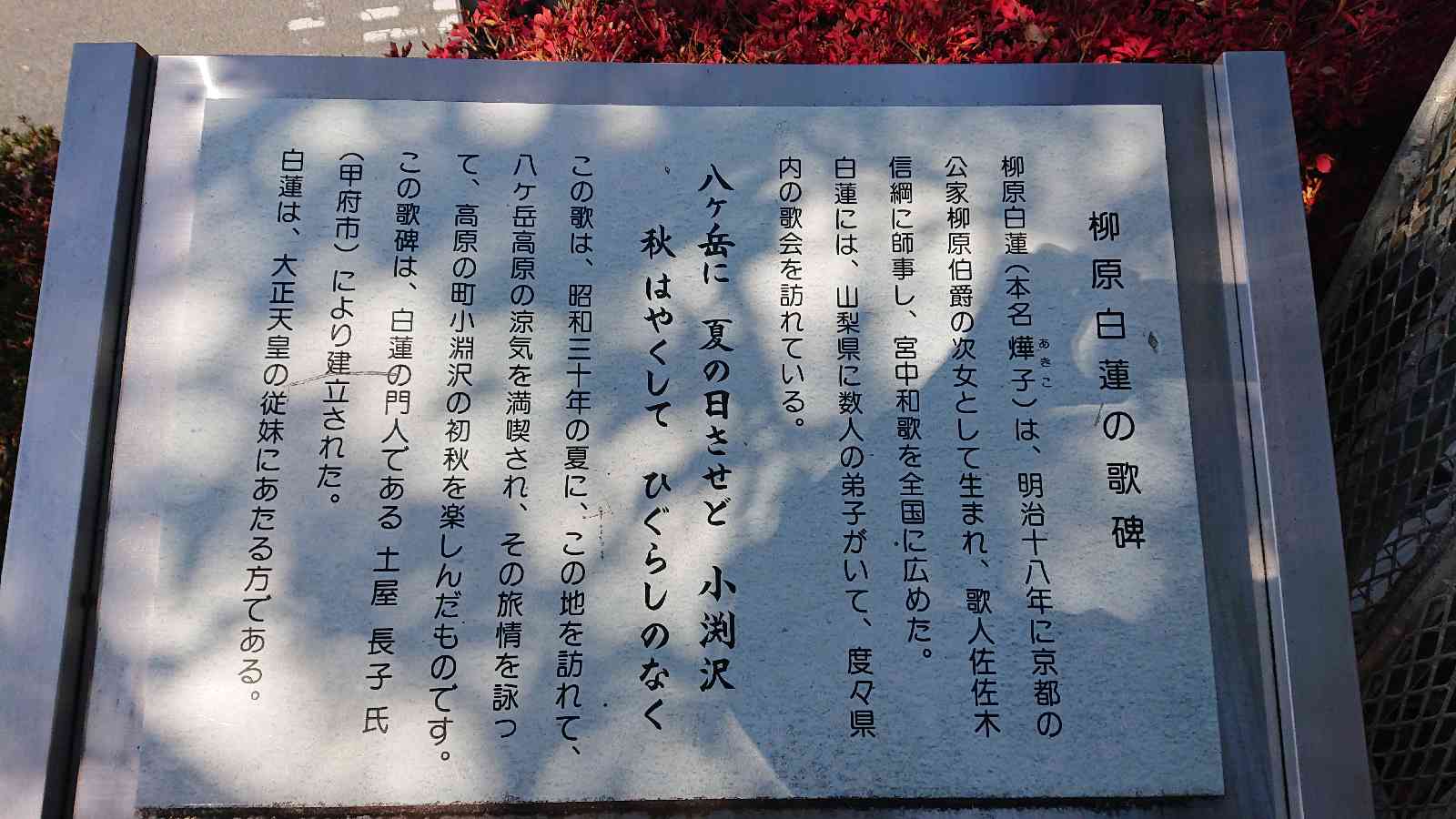 投稿された画像