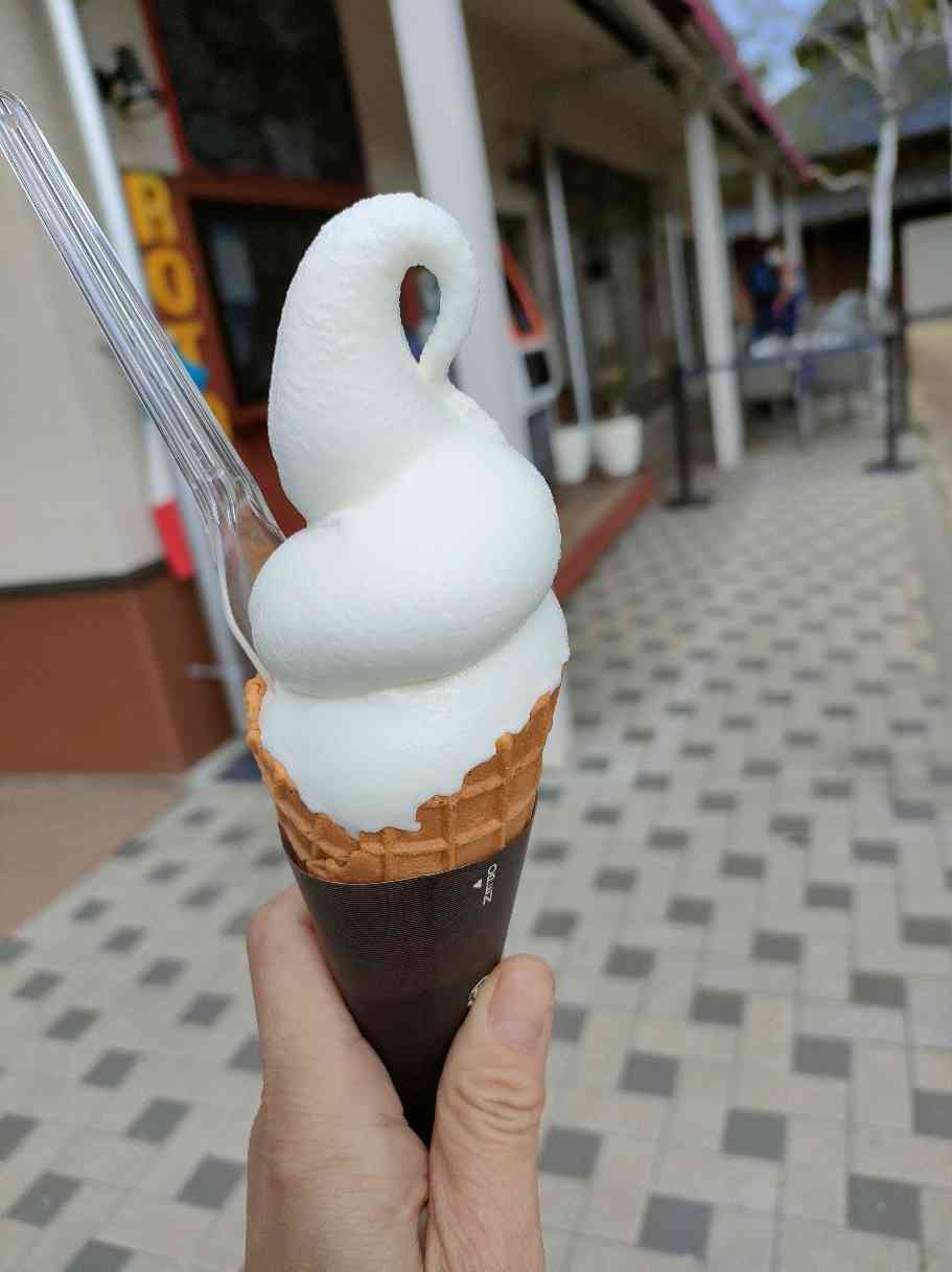 投稿された画像