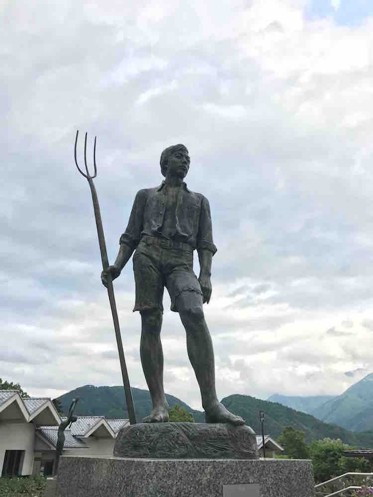 投稿された画像