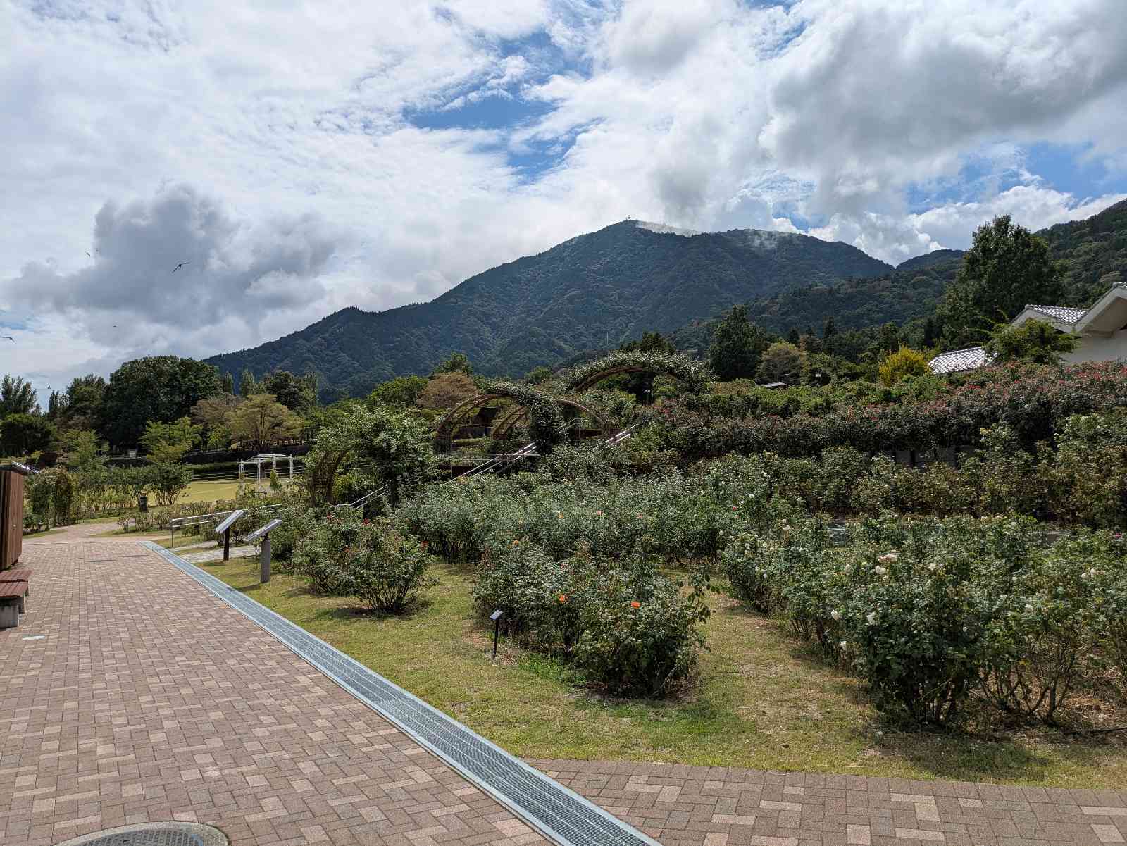 道の駅 みのぶ・富士川観光センターの写真