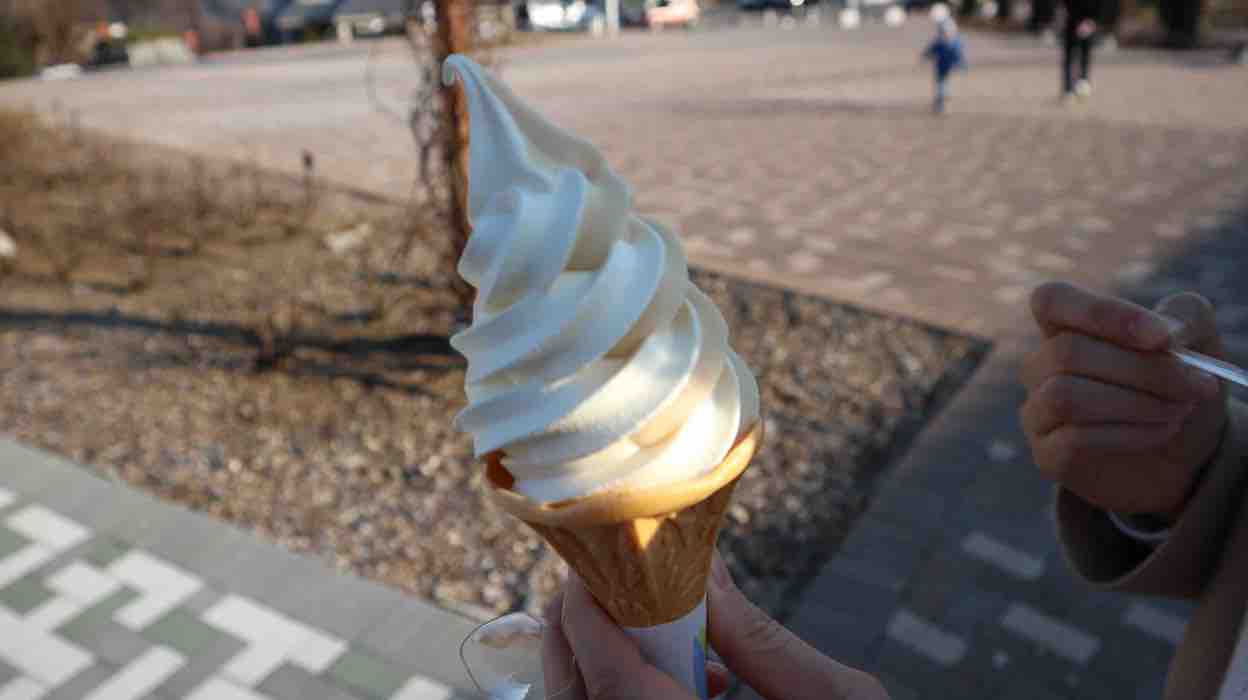 投稿された画像