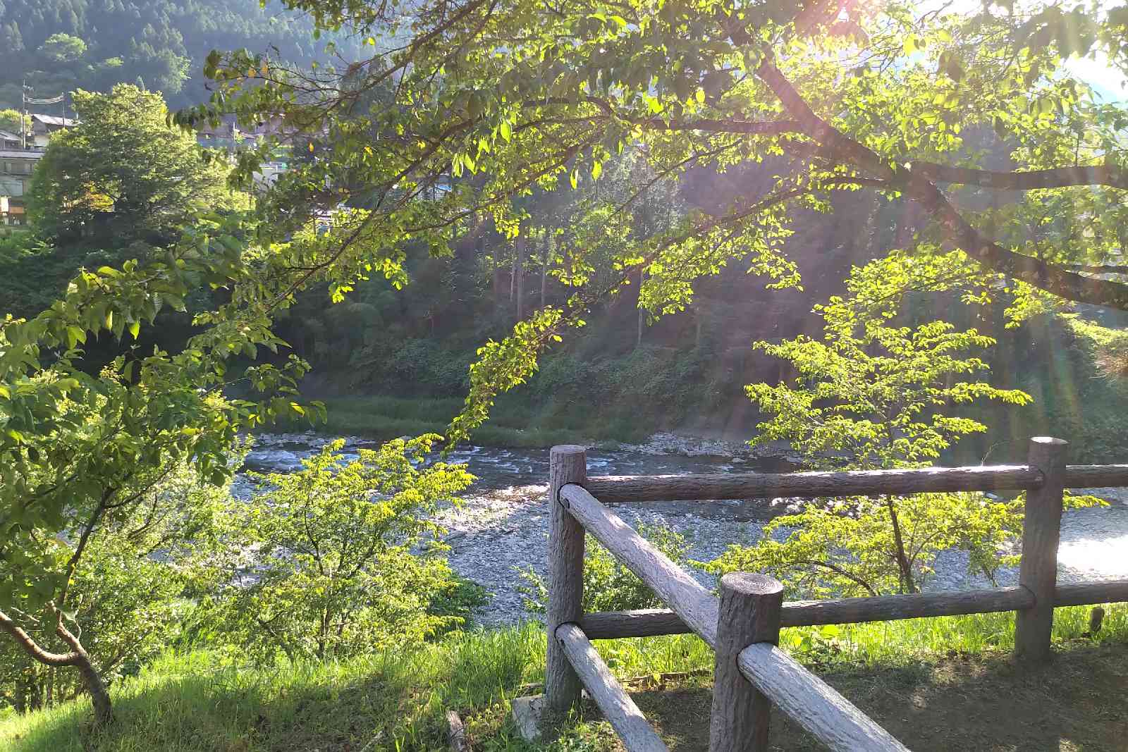 投稿された画像