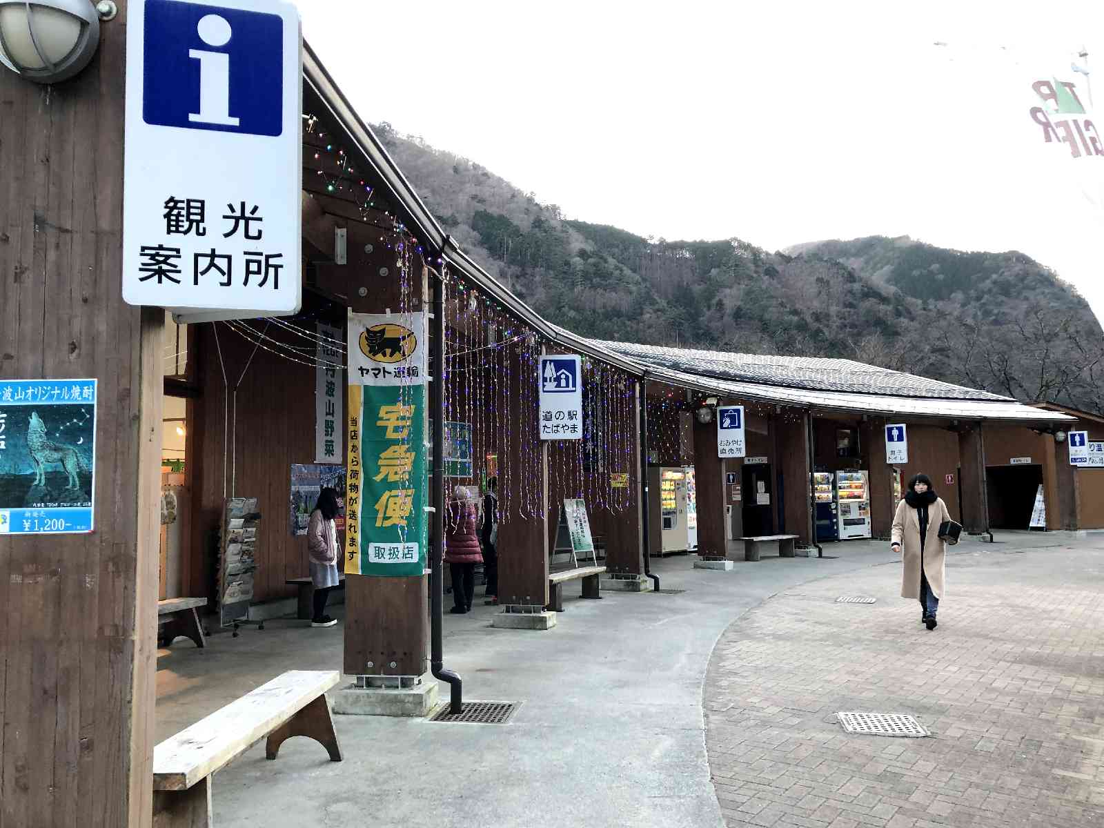 投稿された画像