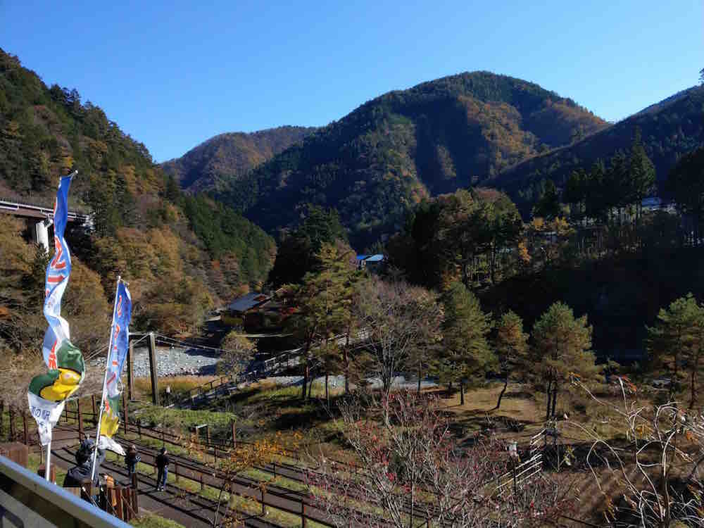 投稿された画像