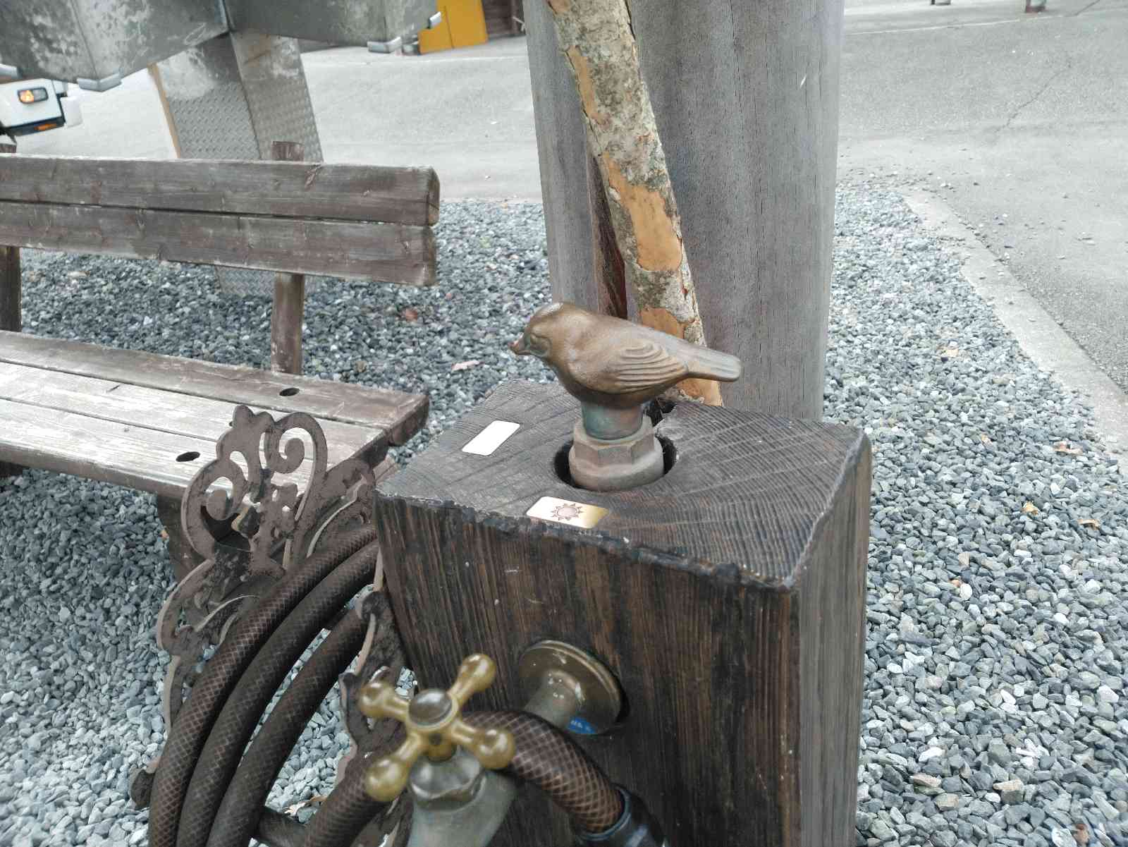 投稿された画像