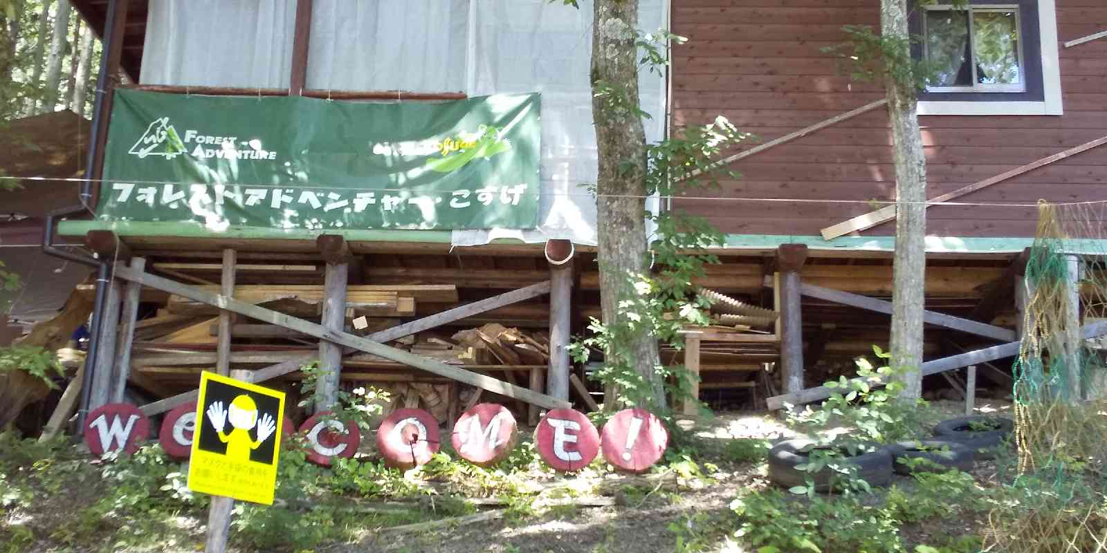 投稿された画像