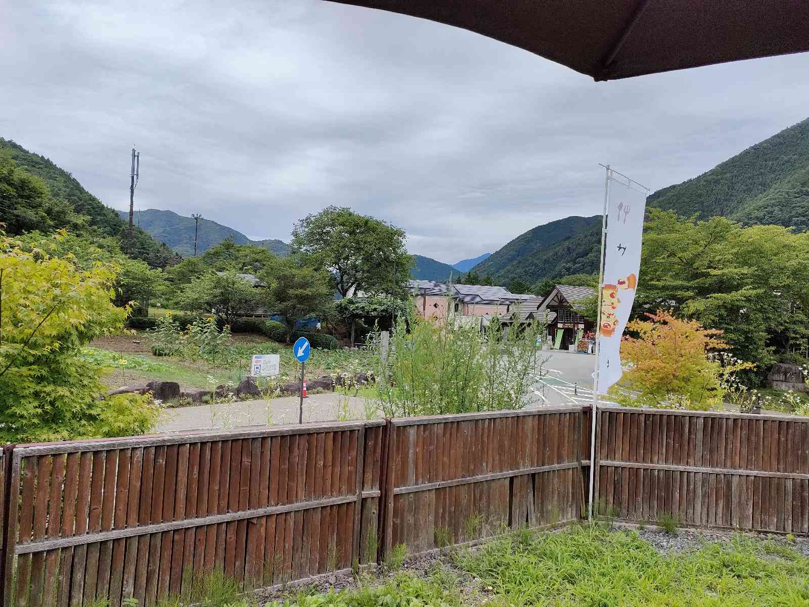 投稿された画像