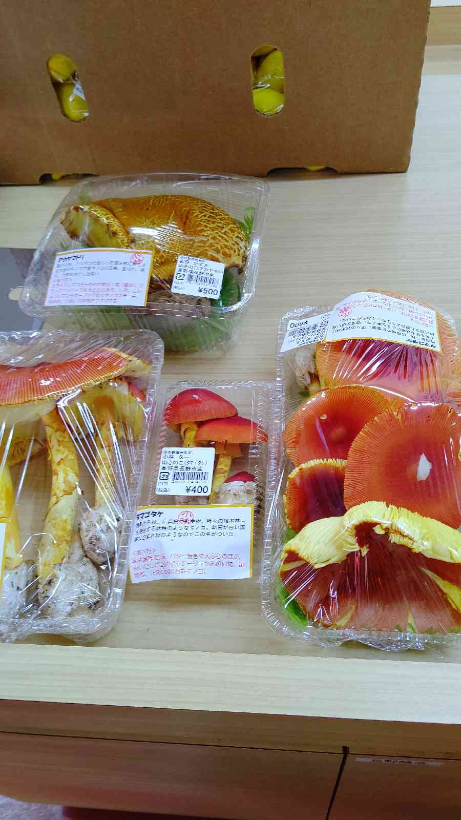 投稿された画像