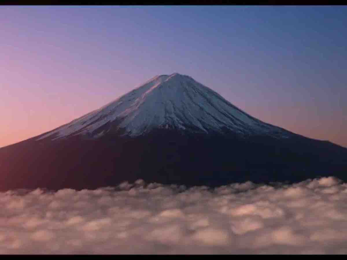 投稿された画像