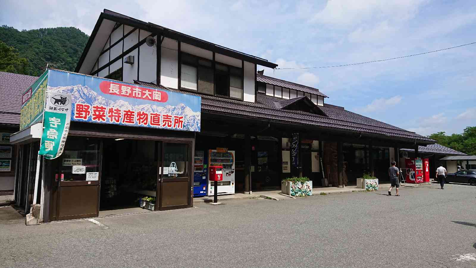 投稿された画像