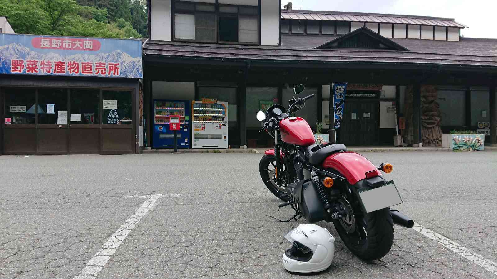 投稿された画像