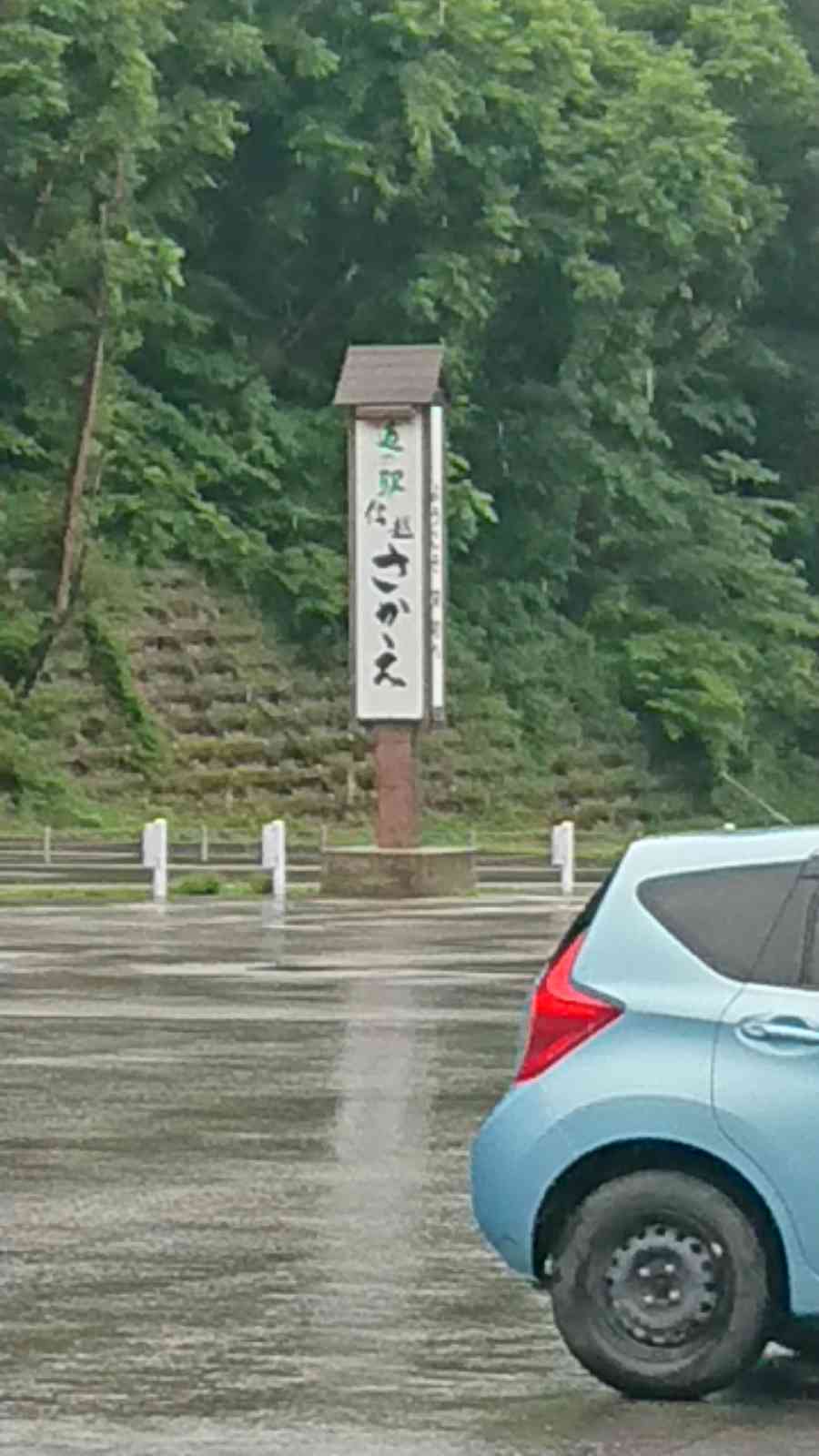 投稿された画像