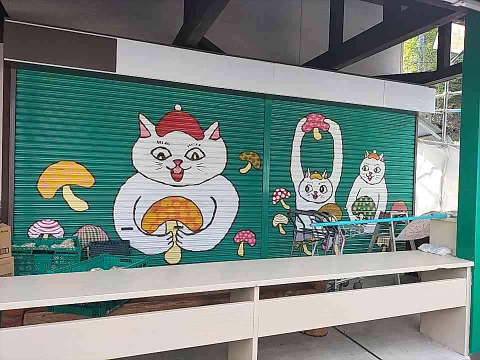投稿された画像