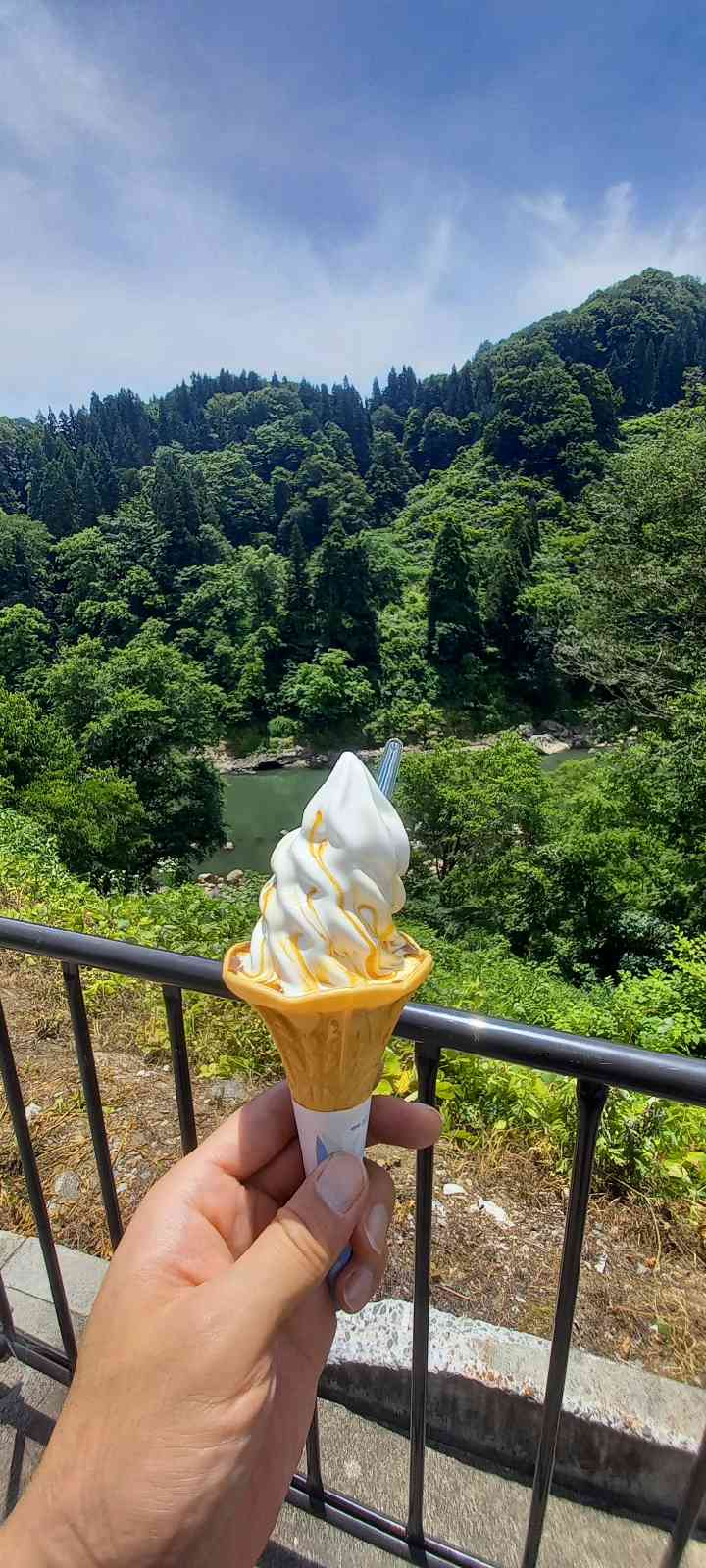 投稿された画像