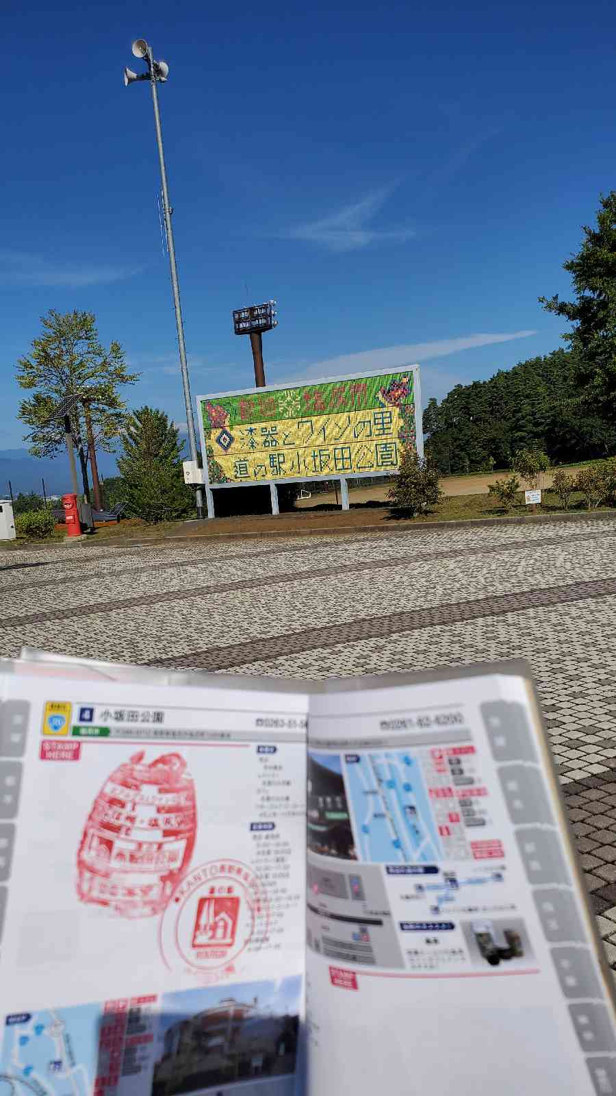 投稿された画像